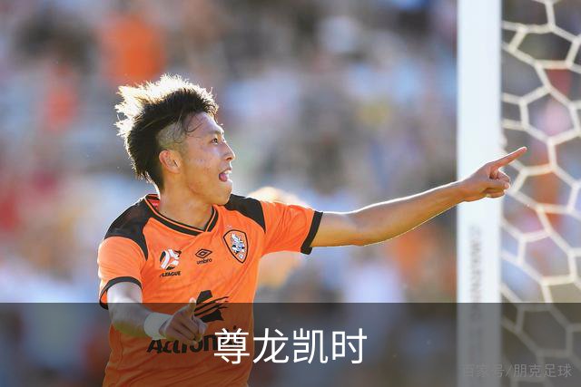 尊龙凯时公司介绍